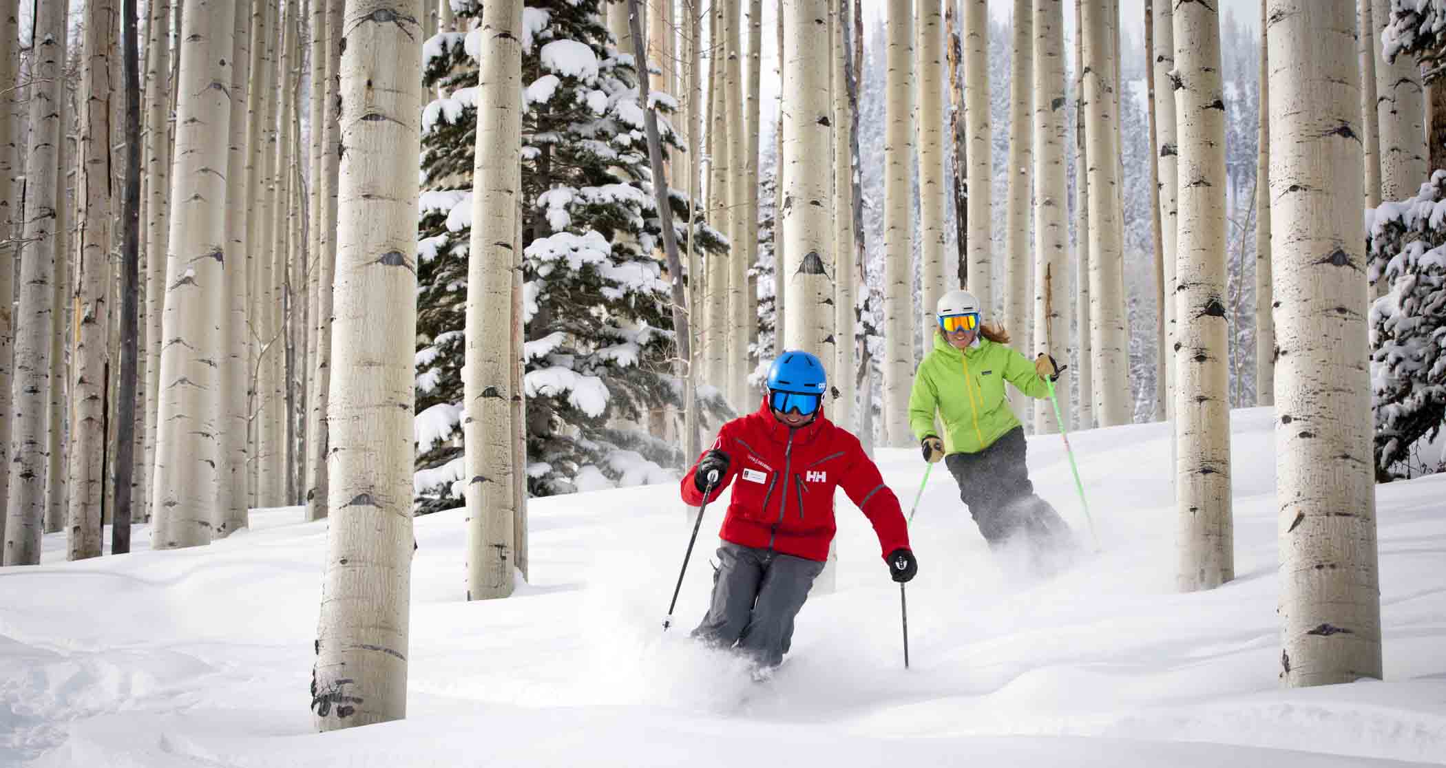 Best Ski Resorts for Tree Skiing Scout Picks